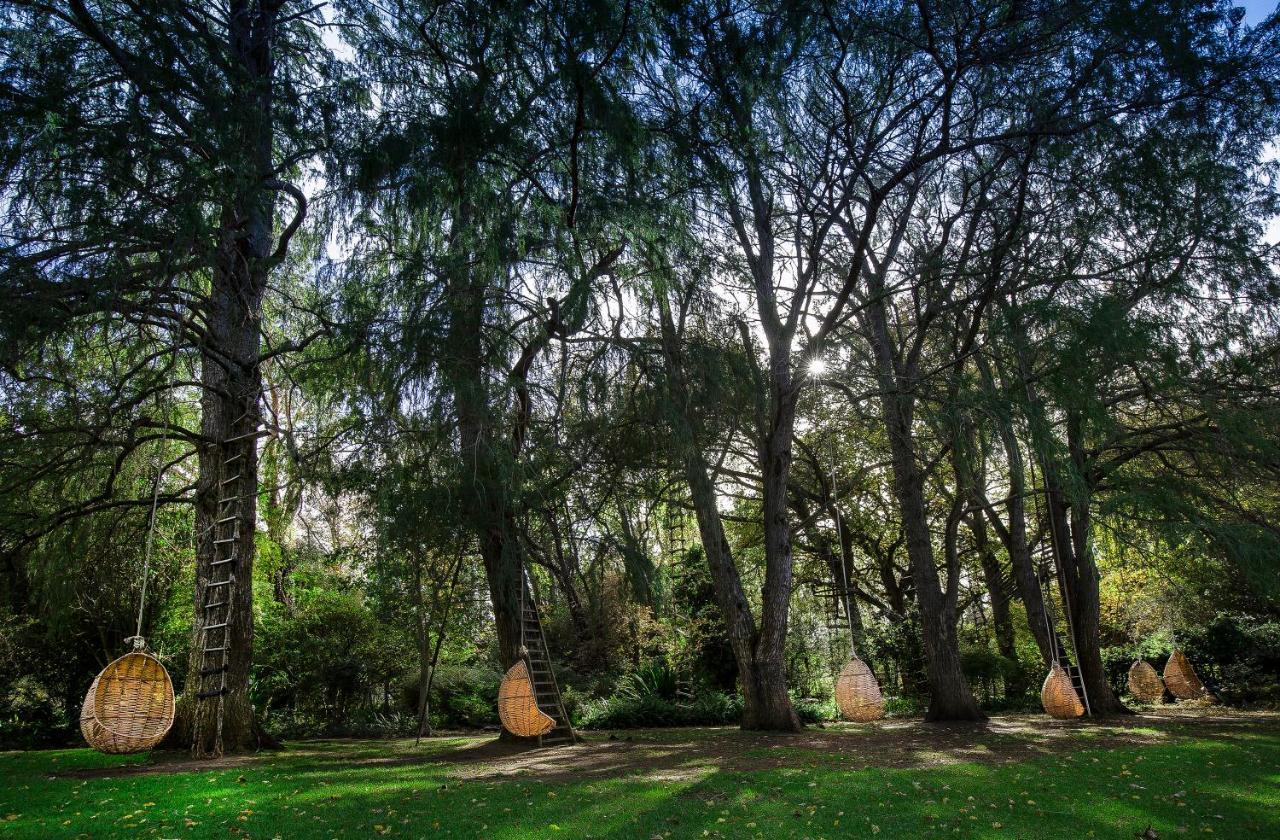 Отель Montpellier De Тульбах Экстерьер фото